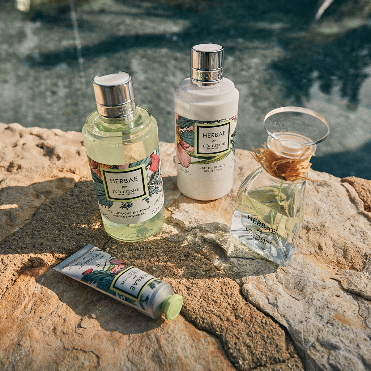 Купить парфюмированная вода herbae 50 мл | Л'Окситан